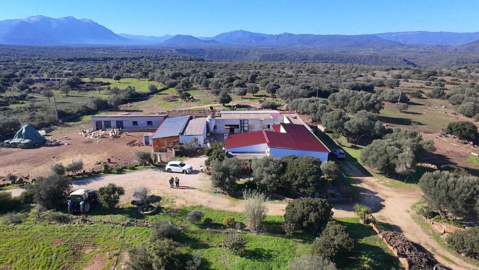 Su Saucu Villa Dorgali Exteriör bild
